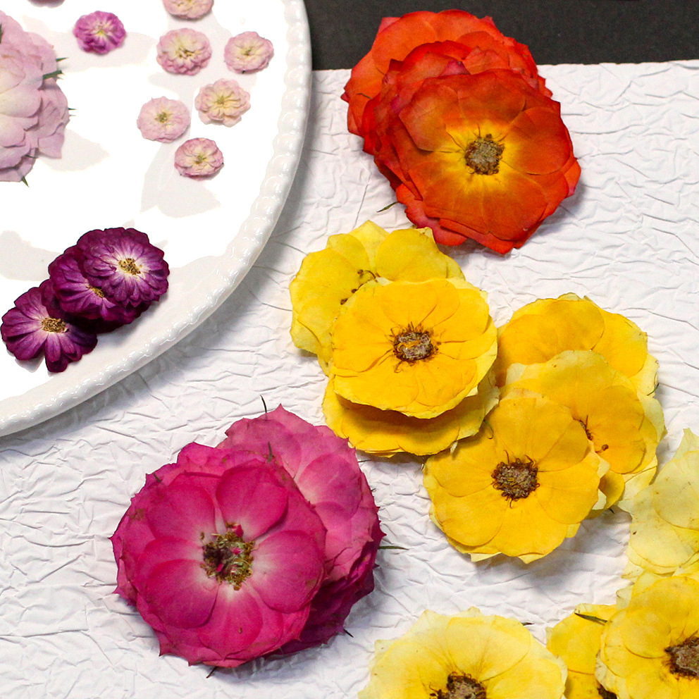 60 Yellow Mixed-size Pressed R - đánh giá và giá Resin Craft Ideas