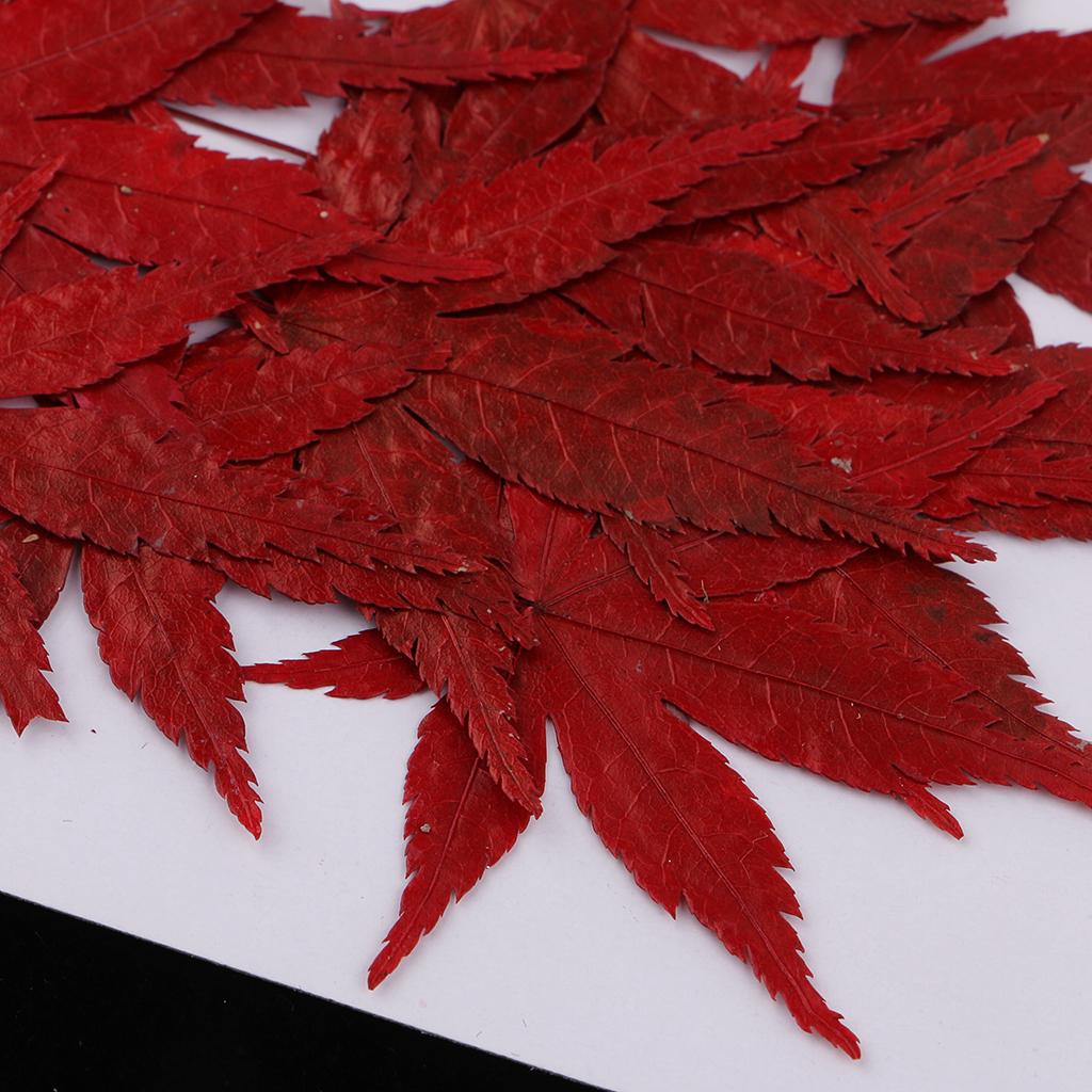 Dried Natural Flowers Crafts R - đánh giá và giá Resin Craft Ideas
