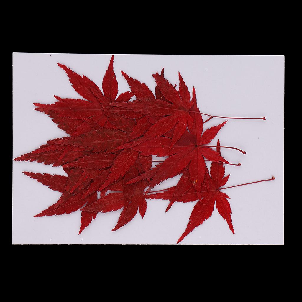 Dried Natural Flowers Crafts R - đánh giá và giá Resin Craft Ideas